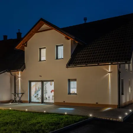 Villa House Arni Delnice